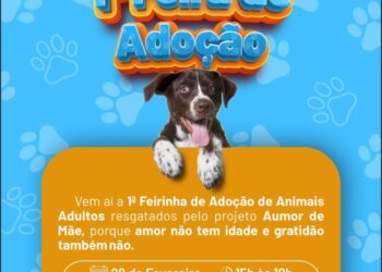 Adoção consciente: Rio Verde recebe 1ª Feirinha de Animais adultos no Parque Espelho D’Água