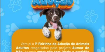 Adoção consciente: Rio Verde recebe 1ª Feirinha de Animais adultos no Parque Espelho D’Água