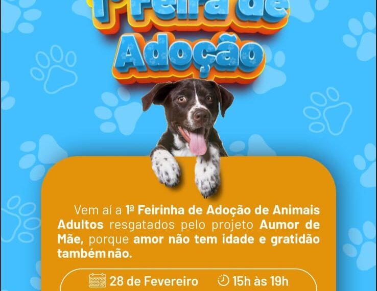 Adoção consciente: Rio Verde recebe 1ª Feirinha de Animais adultos no Parque Espelho D’Água