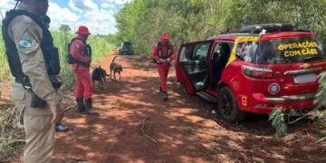 Tragédia no Noroeste do Paraná: Menina de 8 anos é encontrada morta após sequestro