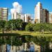 Goiânia é eleita “Cidade Árvore do Mundo” e reduz temperatura urbana em mais de 2 °C