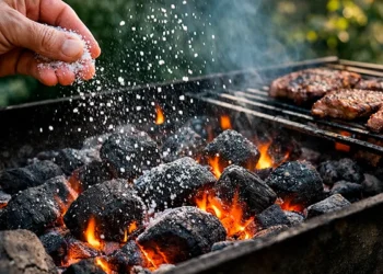 Truque do churrasco: por que colocar sal no carvão pode ajudar a controlar o fogo