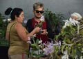 Aparecida sedia uma das maiores mostras de Orquídeas e Rosas do Deserto do Centro-Oeste