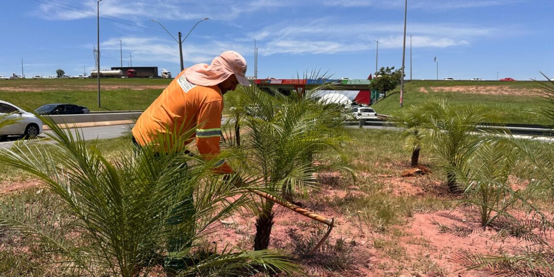 Prefeitura inicia requalificação paisagística em importante corredor viário de Goiânia