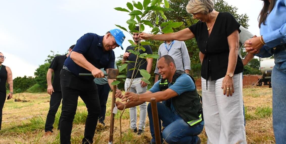 MotoGP Goiânia: Prefeitura inicia plantio de 4 mil mudas do Cerrado