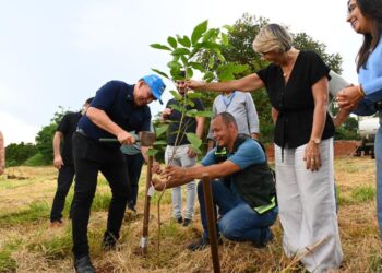 MotoGP Goiânia: Prefeitura inicia plantio de 4 mil mudas do Cerrado