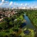 Goiânia consolida protagonismo ambiental e recebe selo internacional de “Cidade Árvore do Mundo”