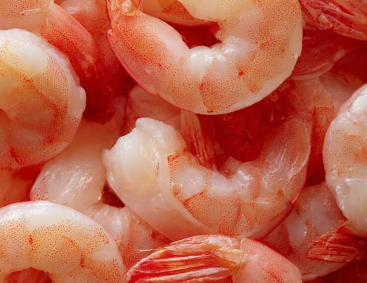 Ibama alerta: consumo de camarão deve ser evitado até o fim de abril