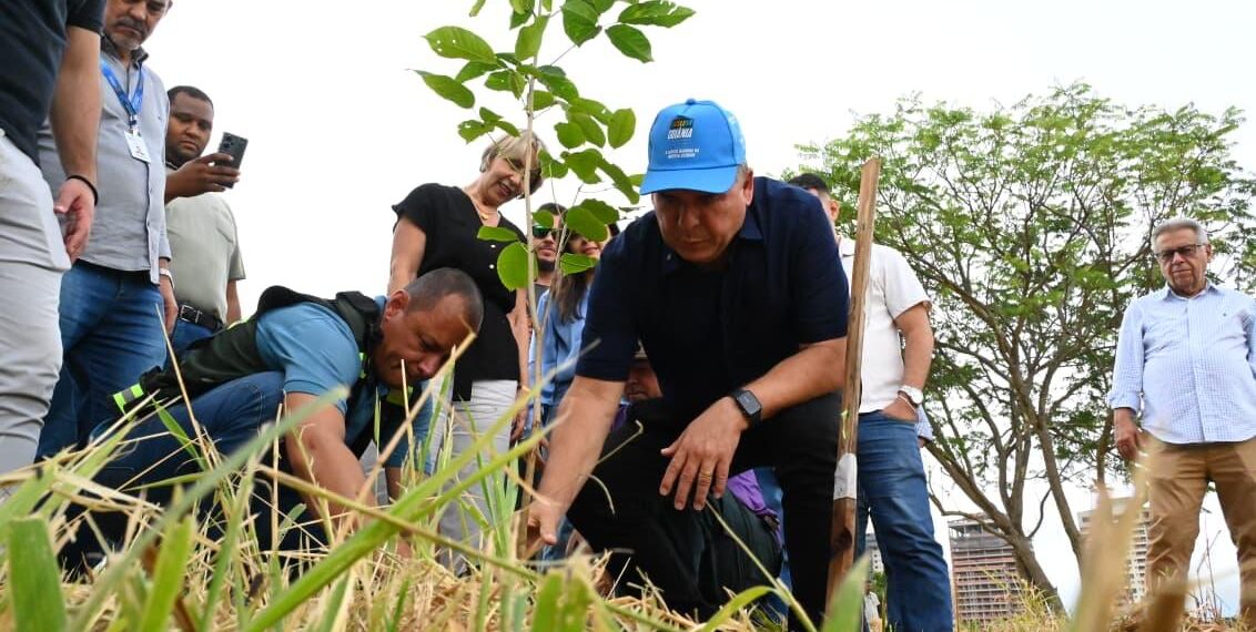 Goiânia aposta em plantio de árvores para neutralizar impacto ambiental do MotoGP
