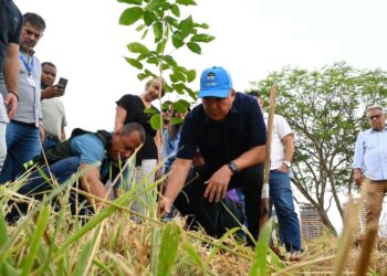 Goiânia aposta em plantio de árvores para neutralizar impacto ambiental do MotoGP