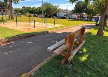 Goiânia recebe 300 novos bancos de madeira em áreas públicas