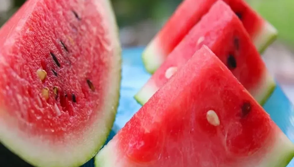 Melancia pode contribuir para a saúde do coração, aponta estudo brasileiro