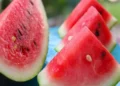 Melancia pode contribuir para a saúde do coração, aponta estudo brasileiro