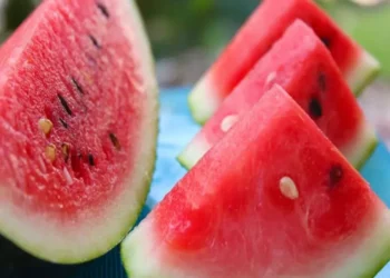 Melancia pode contribuir para a saúde do coração, aponta estudo brasileiro