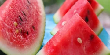 Melancia pode contribuir para a saúde do coração, aponta estudo brasileiro