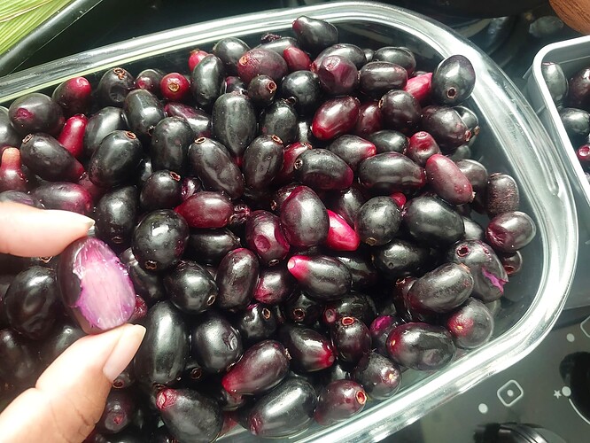 Jamelão: fruta popular no Brasil pode ajudar a reduzir níveis de açúcar no sangue