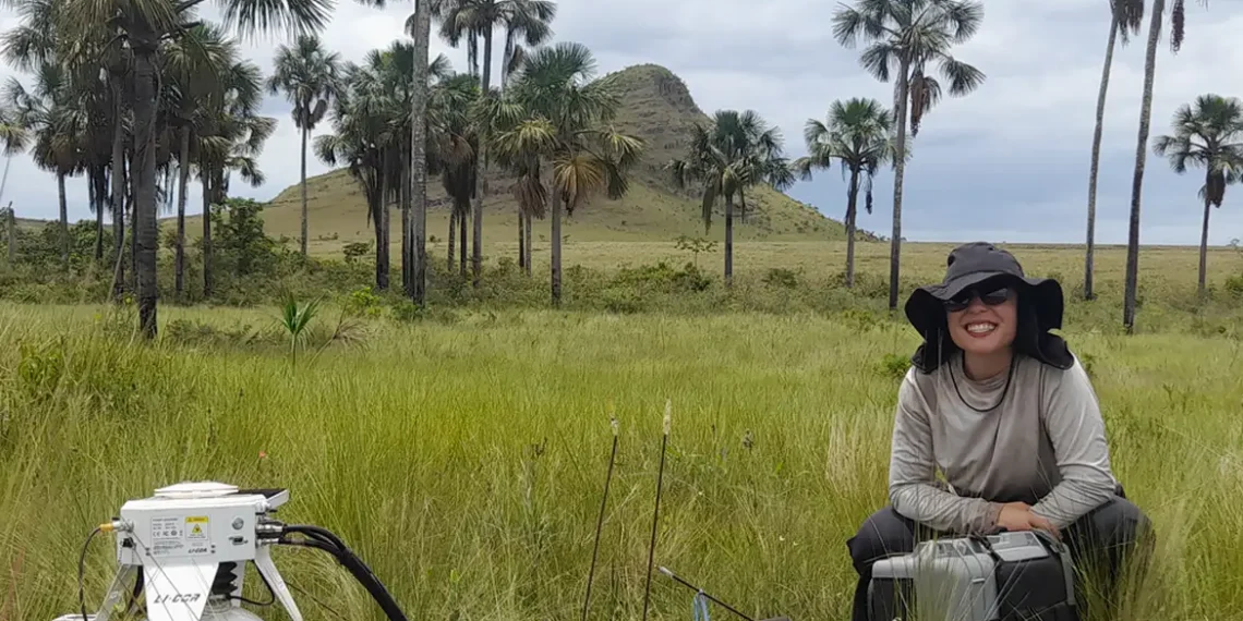 Áreas úmidas do Cerrado podem superar a Amazônia em estocagem de carbono