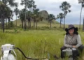 Áreas úmidas do Cerrado podem superar a Amazônia em estocagem de carbono
