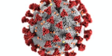 Nova variante da Covid-19 avança globalmente e mantém autoridades em alerta