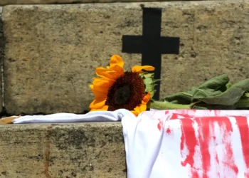 Casos de feminicídio no Brasil superam em 38% os dados oficiais e expõem falhas na notificação