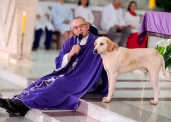 Cachorro caramelo vira presença constante em missas e conquista fiéis e padre no Paraná