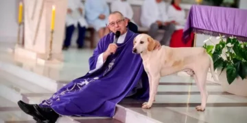 Cachorro caramelo vira presença constante em missas e conquista fiéis e padre no Paraná