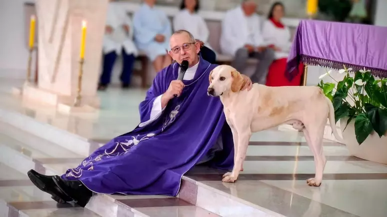 Cachorro caramelo vira presença constante em missas e conquista fiéis e padre no Paraná