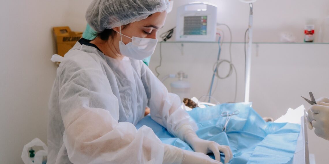 Senador Canedo atinge marca de 500 castrações gratuitas no primeiro trimestre de 2026