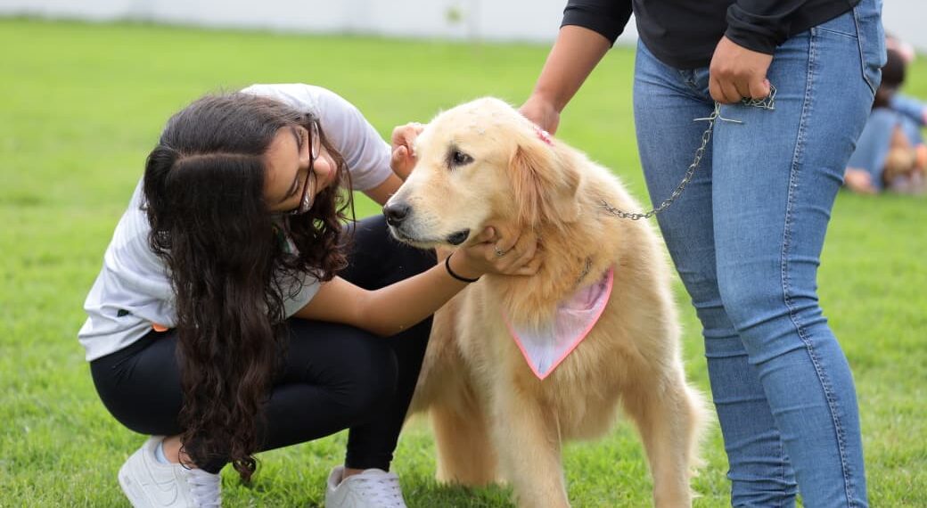 Aparecida de Goiânia promove mutirão de serviços para pessoas com deficiência e autismo