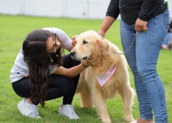 Aparecida de Goiânia promove mutirão de serviços para pessoas com deficiência e autismo