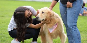 Aparecida de Goiânia promove mutirão de serviços para pessoas com deficiência e autismo