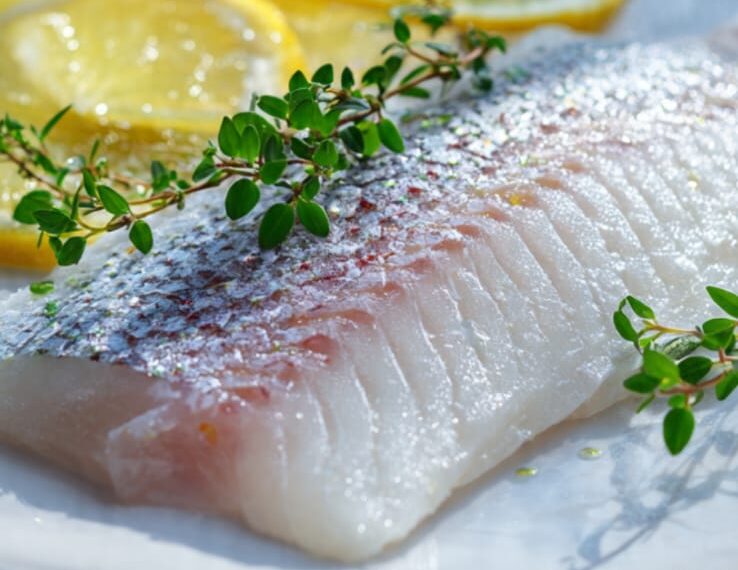 Robalo se destaca como um dos peixes mais nutritivos e saudáveis para a dieta