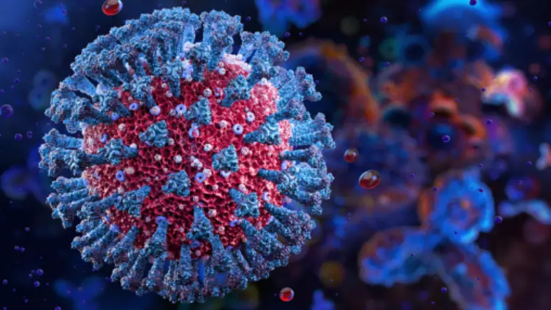 Variante Cicada avança em 23 países e acende alerta para mutações da linhagem Ômicron